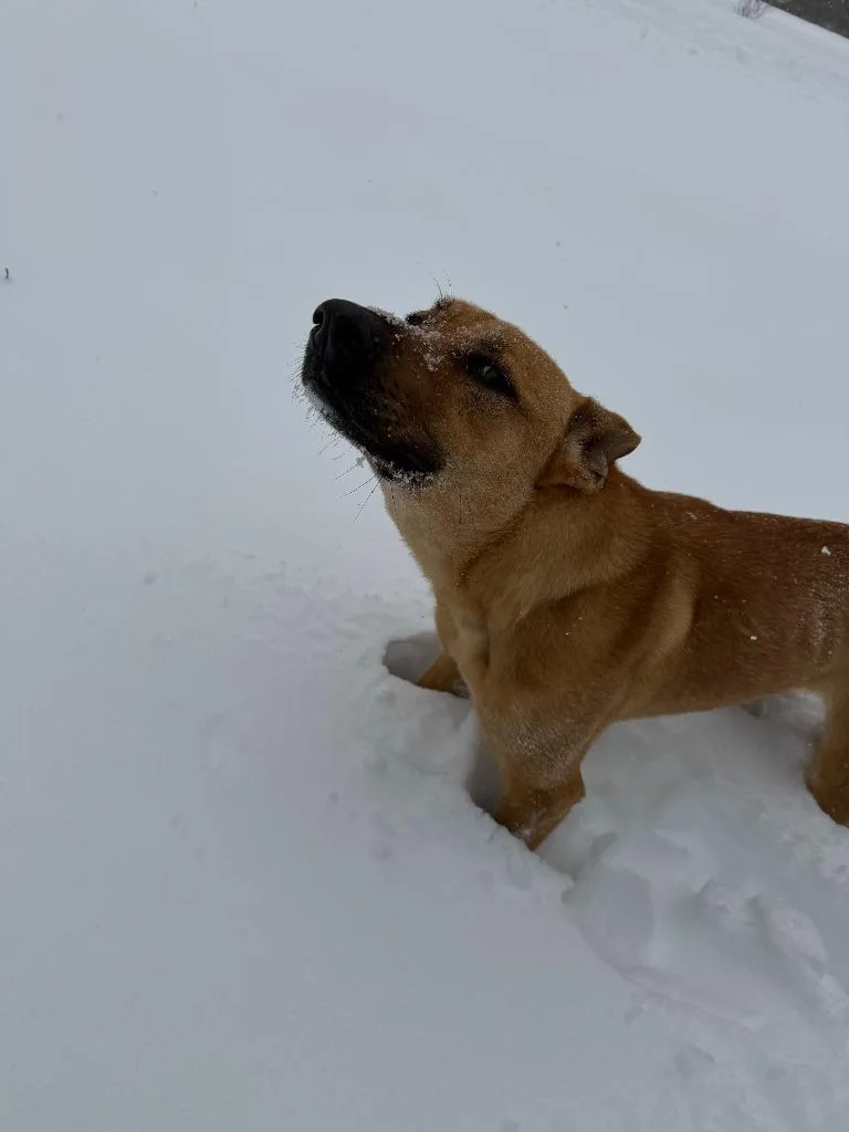 Zoey