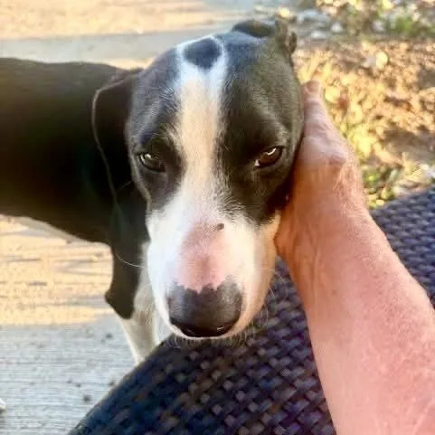 Dottie thumbnail 4
