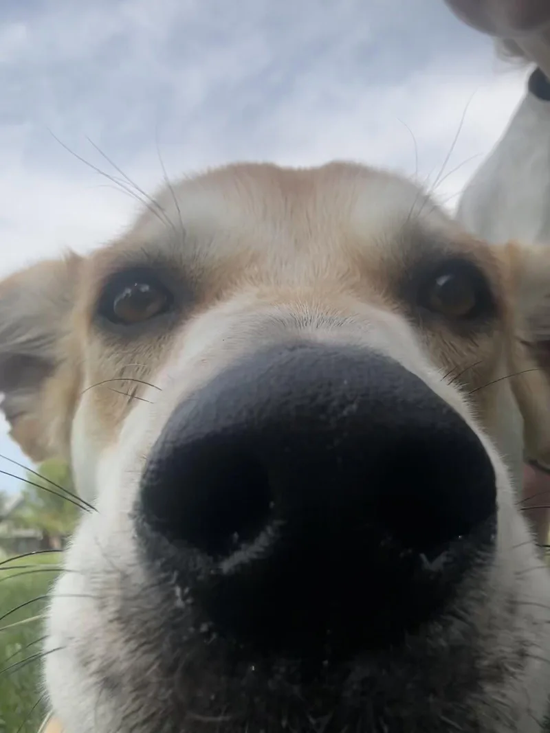 Rita thumbnail 3