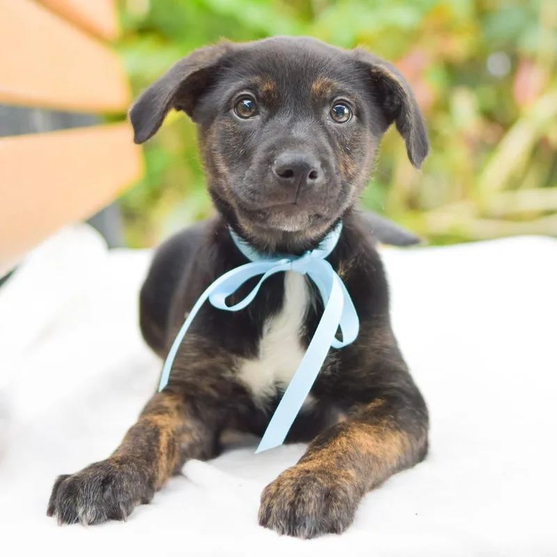 Johnny Cash thumbnail 3