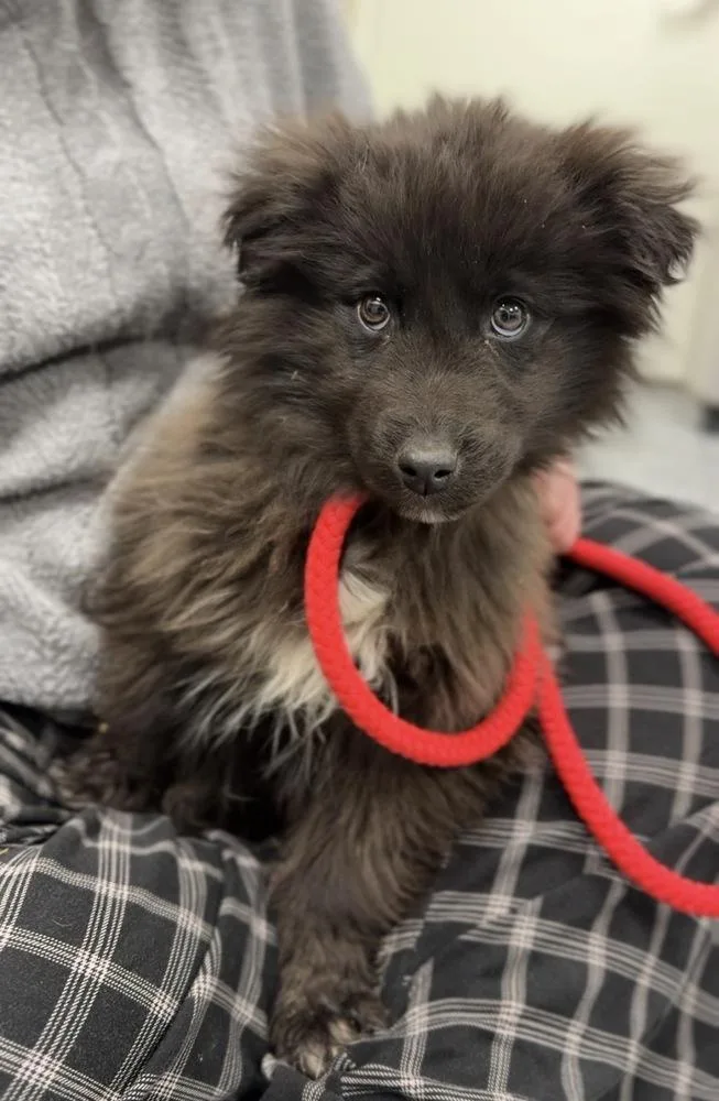 Sourdough thumbnail 2