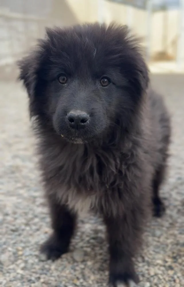 Sourdough thumbnail 3