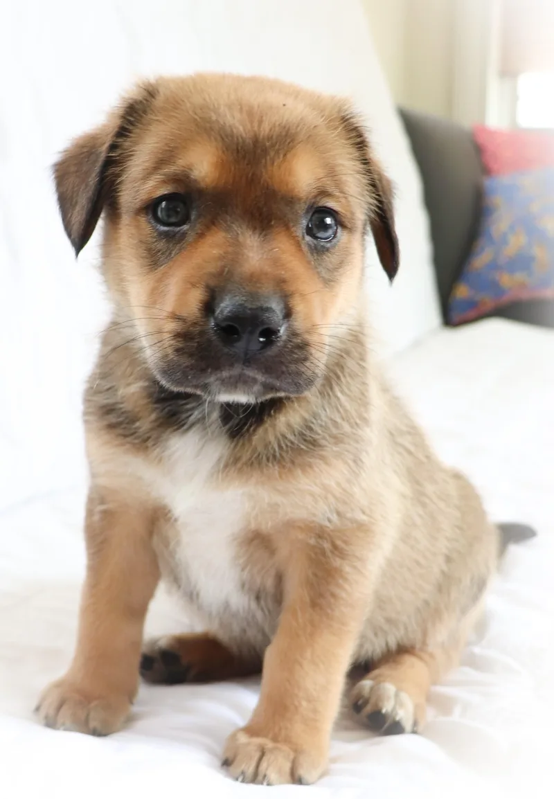 Buster thumbnail 2