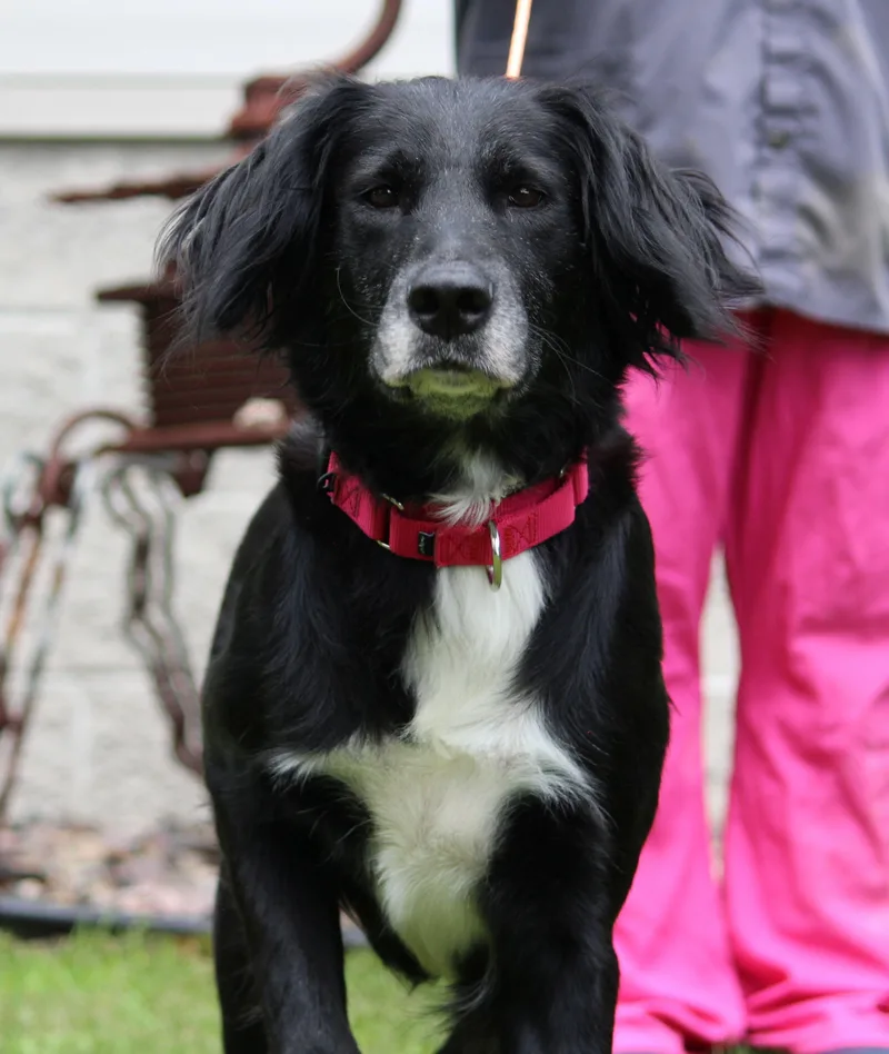 Sally thumbnail 4