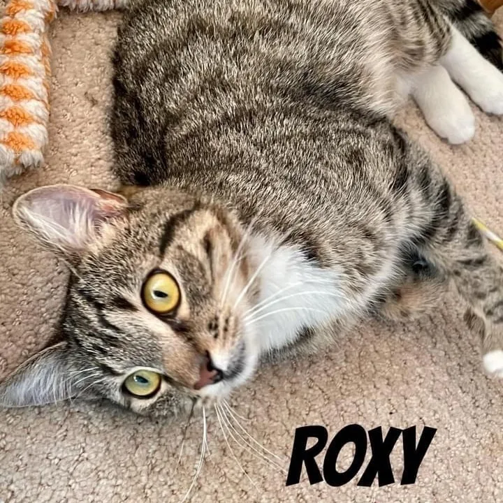 Roxy