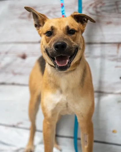 Christopher thumbnail 2