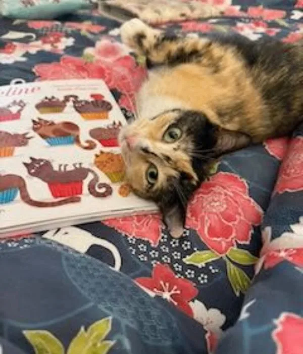 Peaches thumbnail 2
