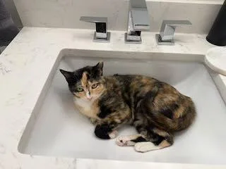 Peaches thumbnail 3