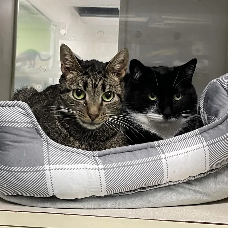 Margaret thumbnail 2