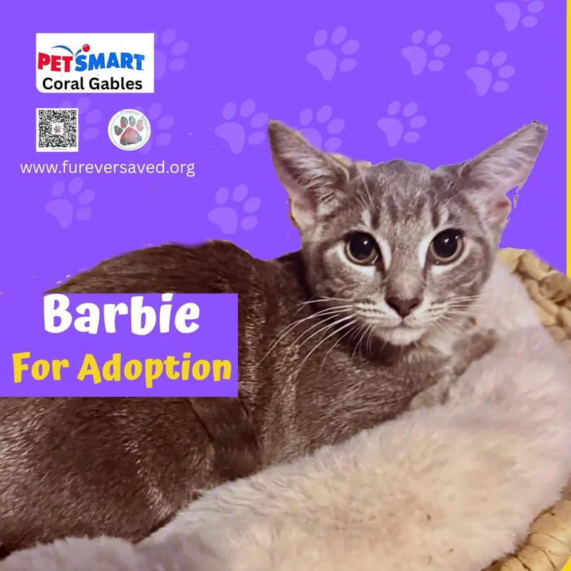 Barbie thumbnail 2