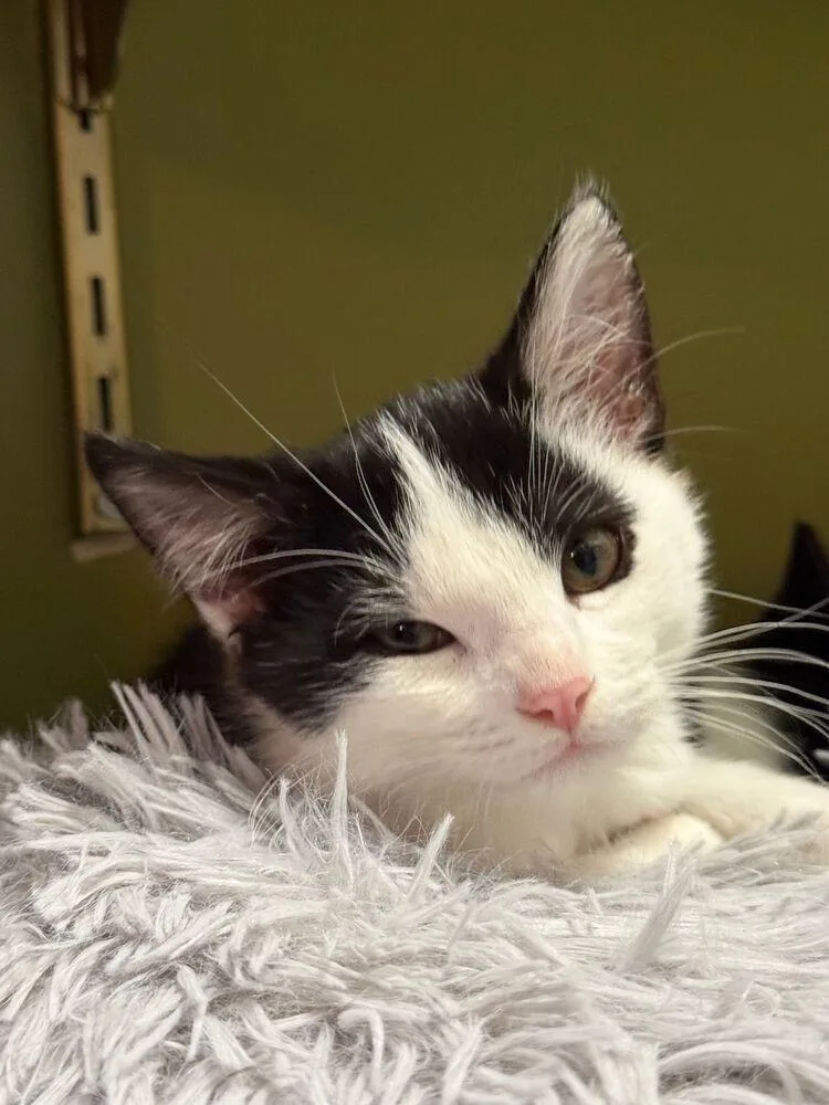 Wednesday thumbnail 2