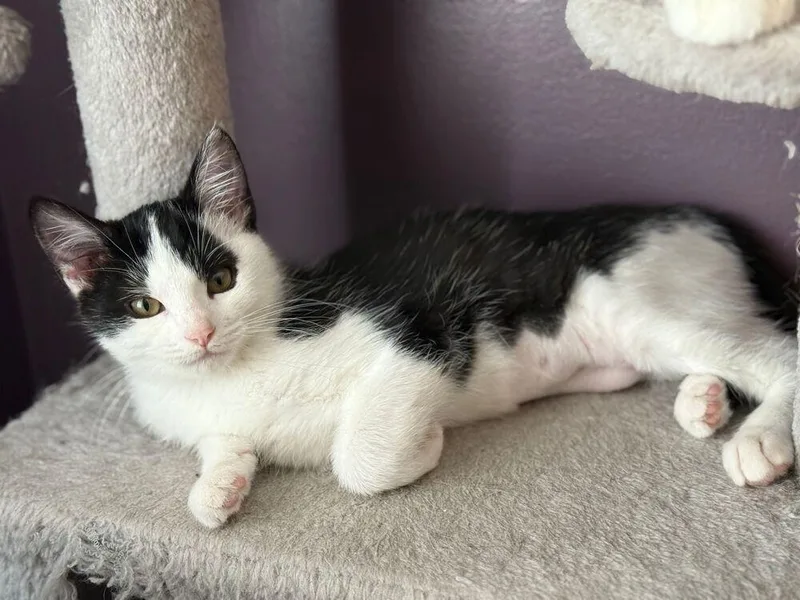 Wednesday thumbnail 3