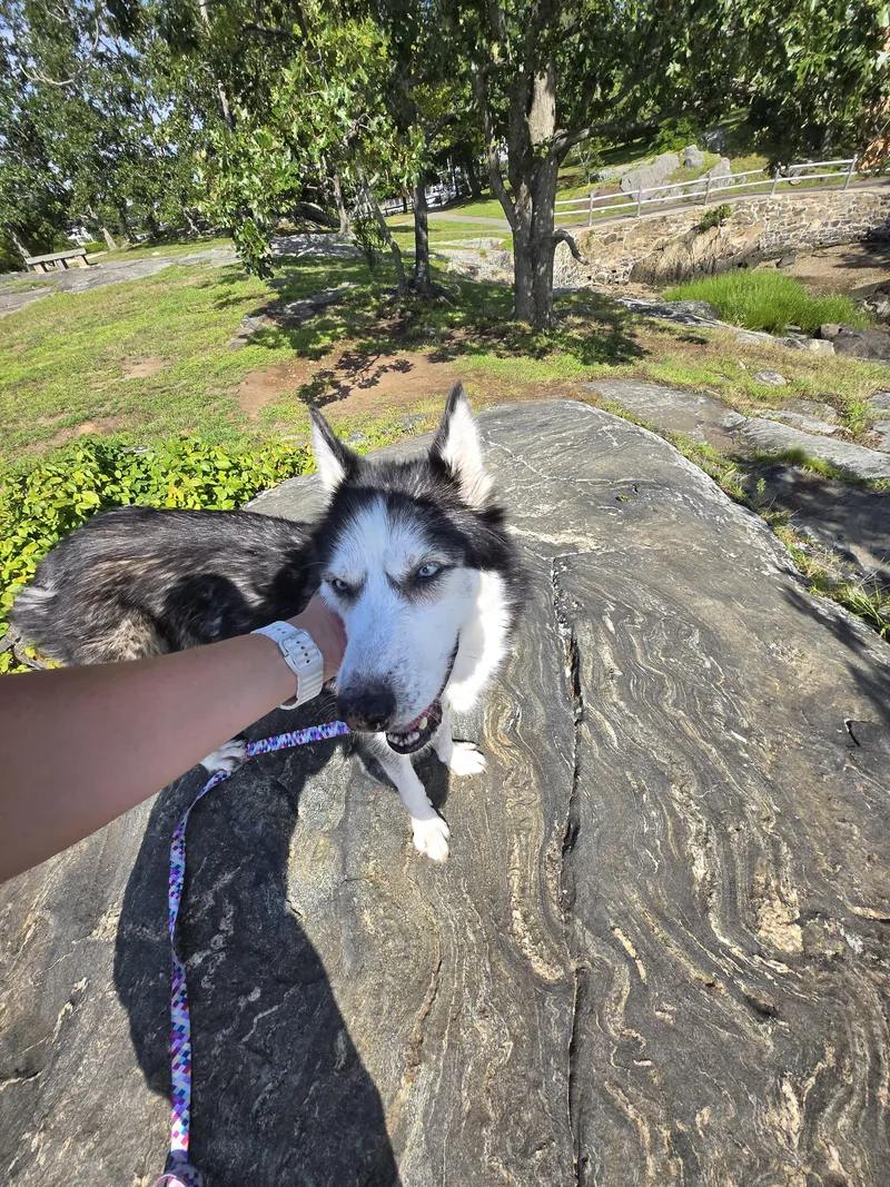 Luna