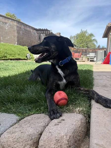 Jabarkus thumbnail 4