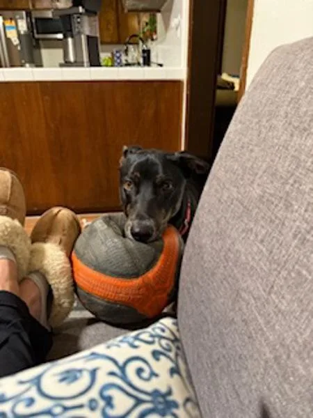 Jabarkus thumbnail 5