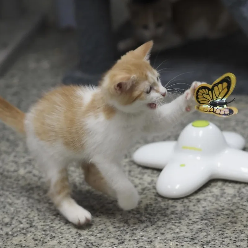 P&P: Patches thumbnail 5