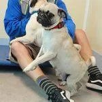 Lucy thumbnail 2