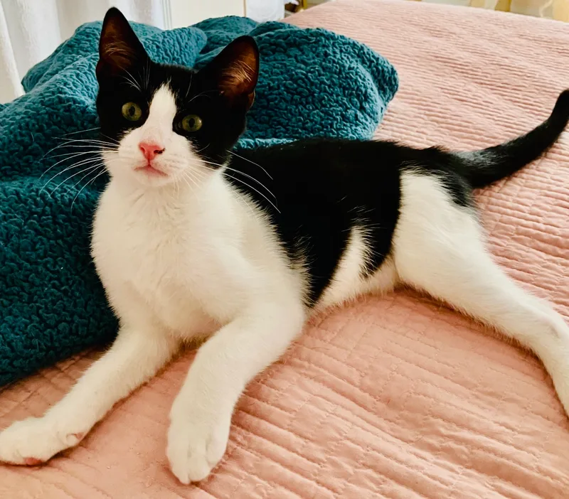 Jemma  Jack  thumbnail 2