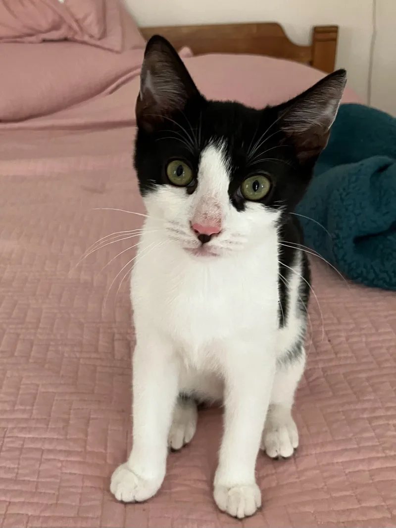 Jemma  Jack  thumbnail 3