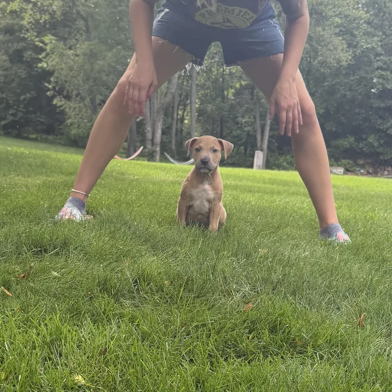 Benny
