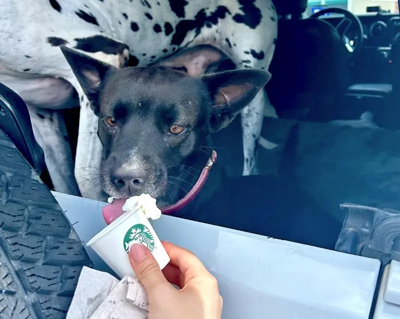 Luna  A true thumbnail 3