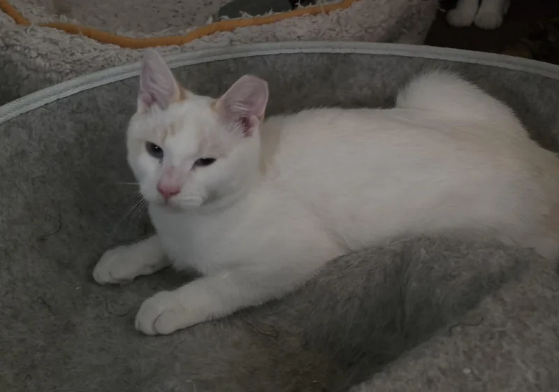 Casper thumbnail 2