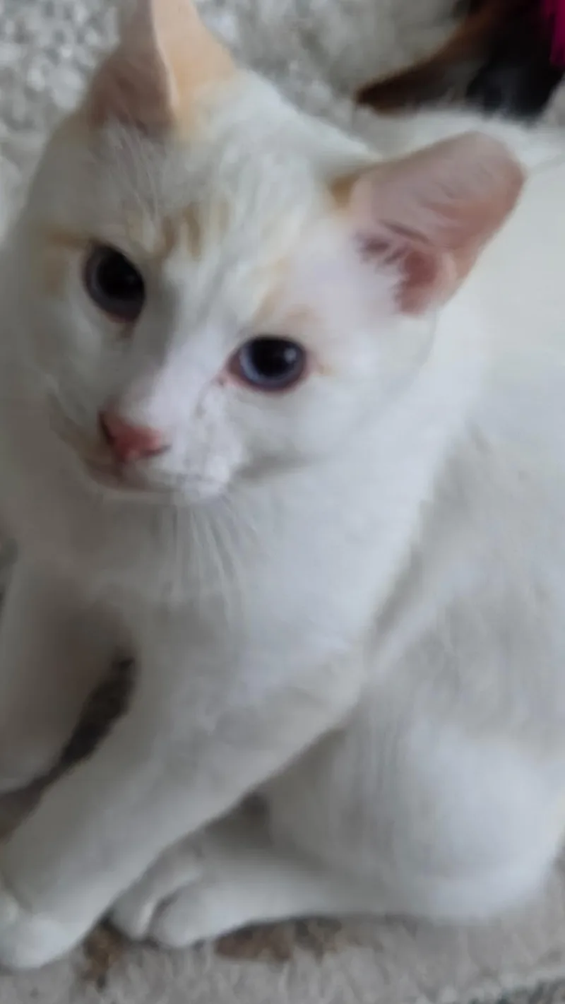 Casper thumbnail 5