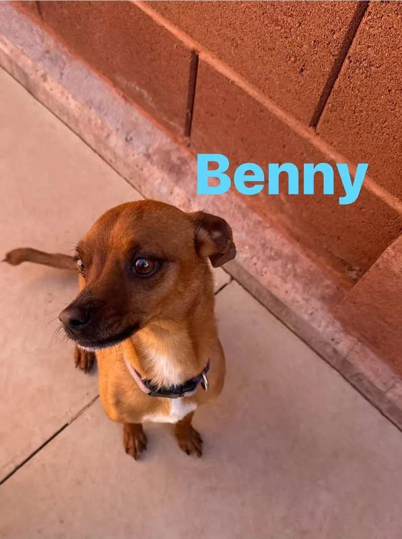 Benny