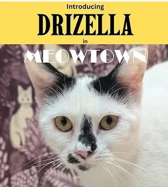 Drizella thumbnail 2