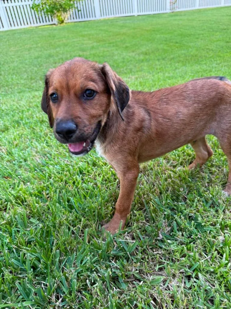 Tucker