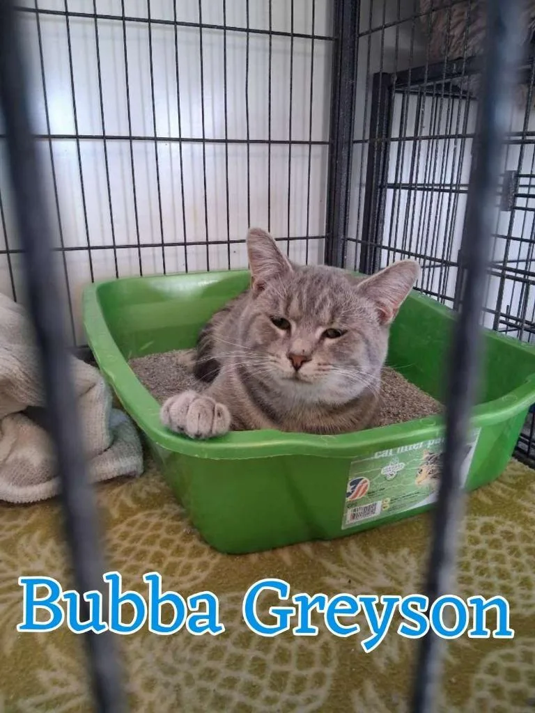 Bubba Greyson thumbnail 3