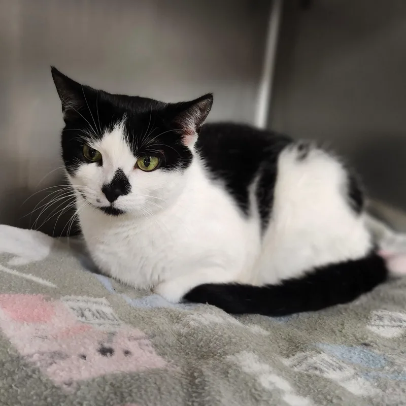 Luna Lee And Lola thumbnail 4