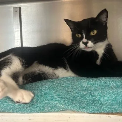 Luna Lee And Lola thumbnail 5