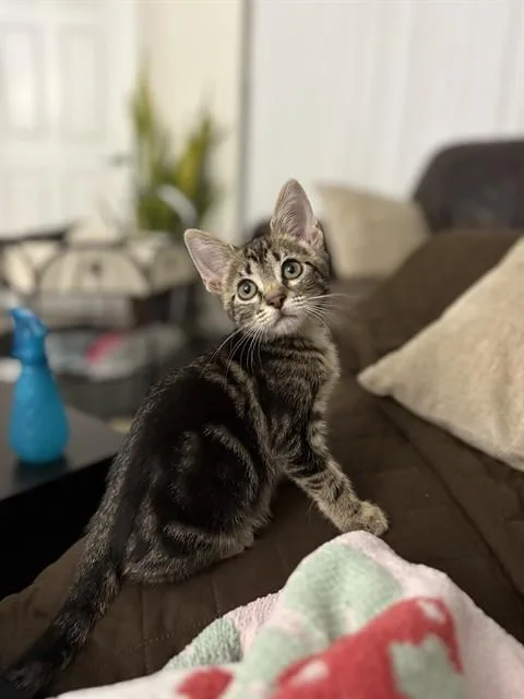 Stormi