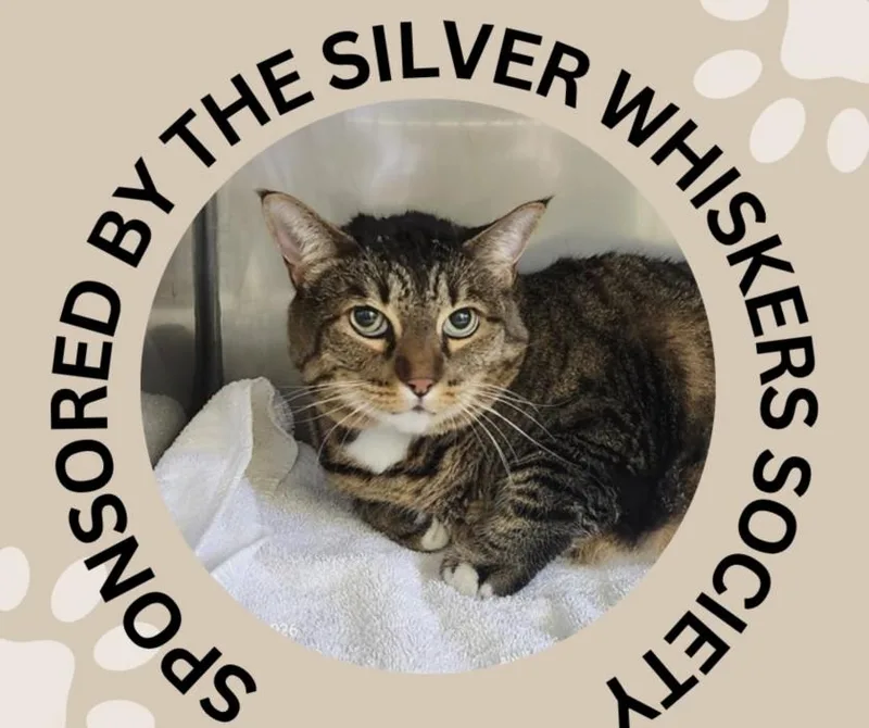 Lilly