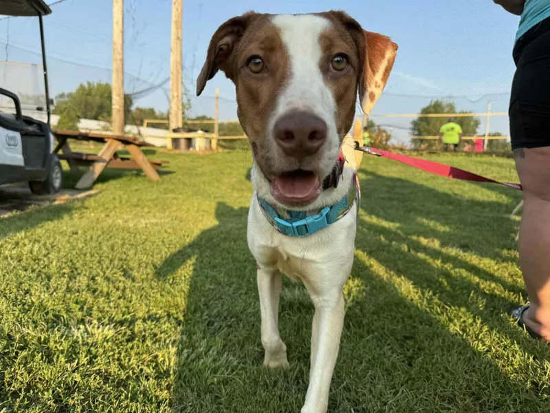 Honeybun thumbnail 2