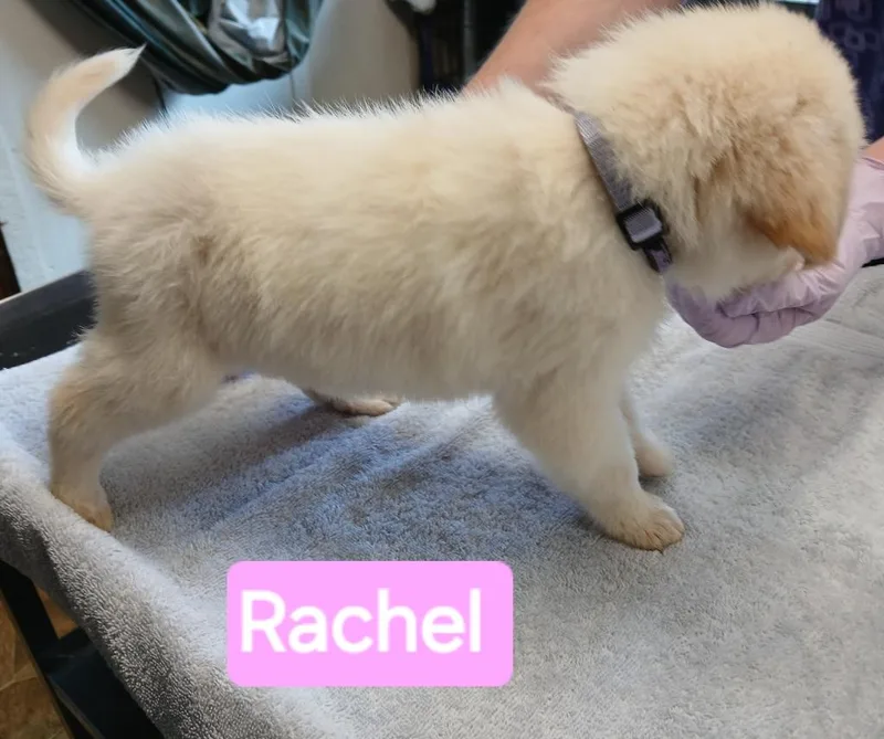 Raychel thumbnail 2