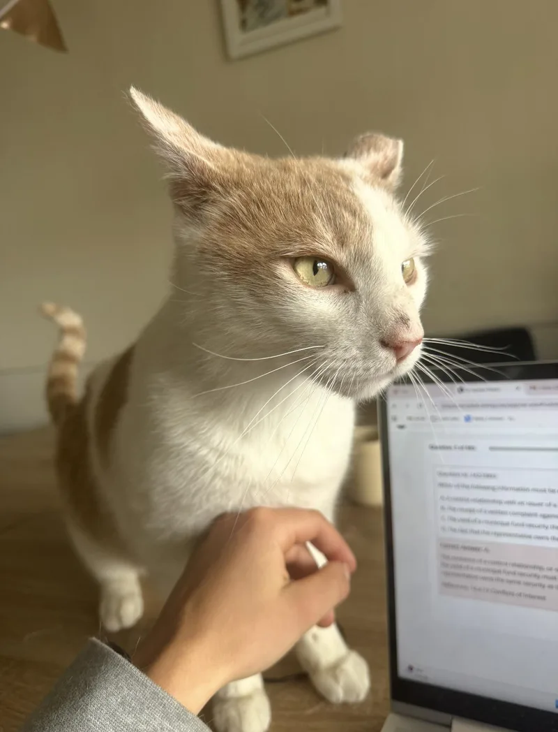 Mr. Keisha Ithan thumbnail 2