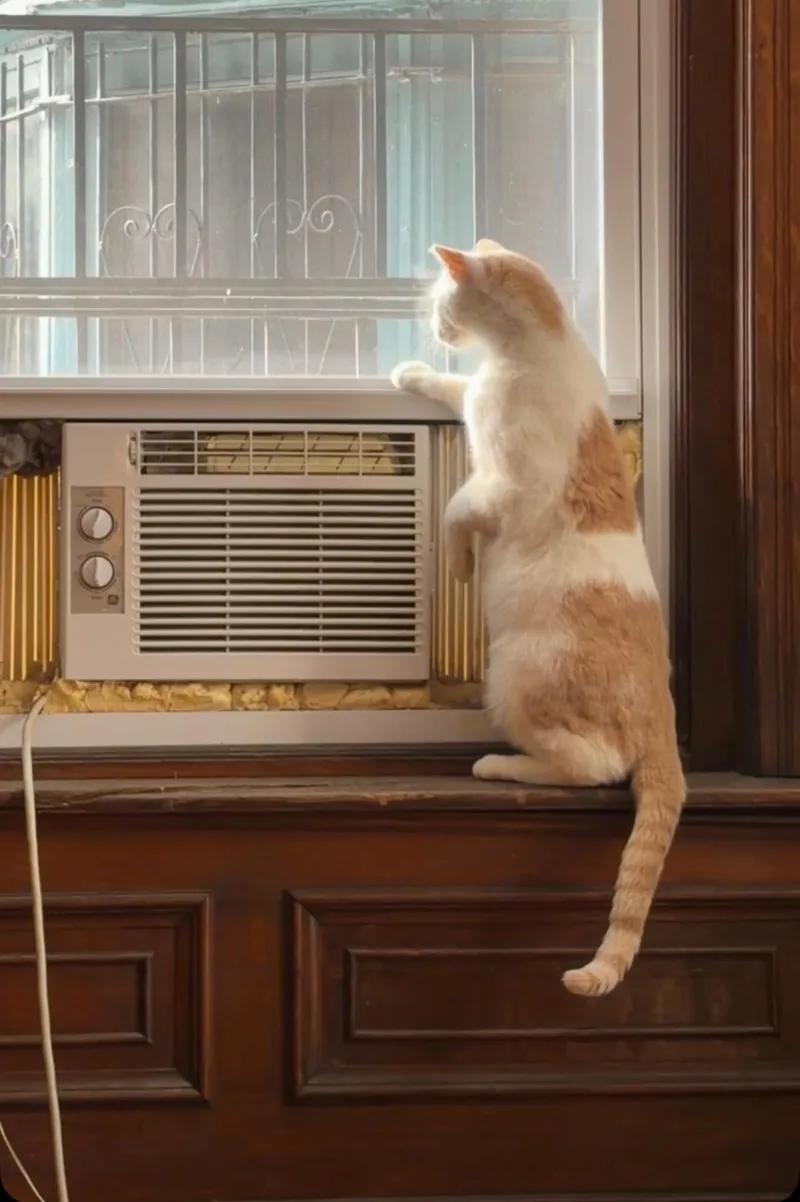 Mr. Keisha Ithan thumbnail 3