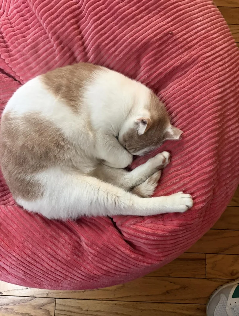 Mr. Keisha Ithan thumbnail 4