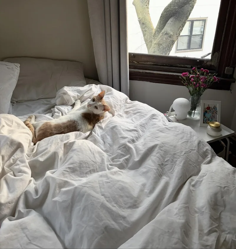 Mr. Keisha Ithan thumbnail 5