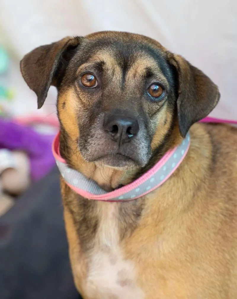 Sweet Salem thumbnail 2