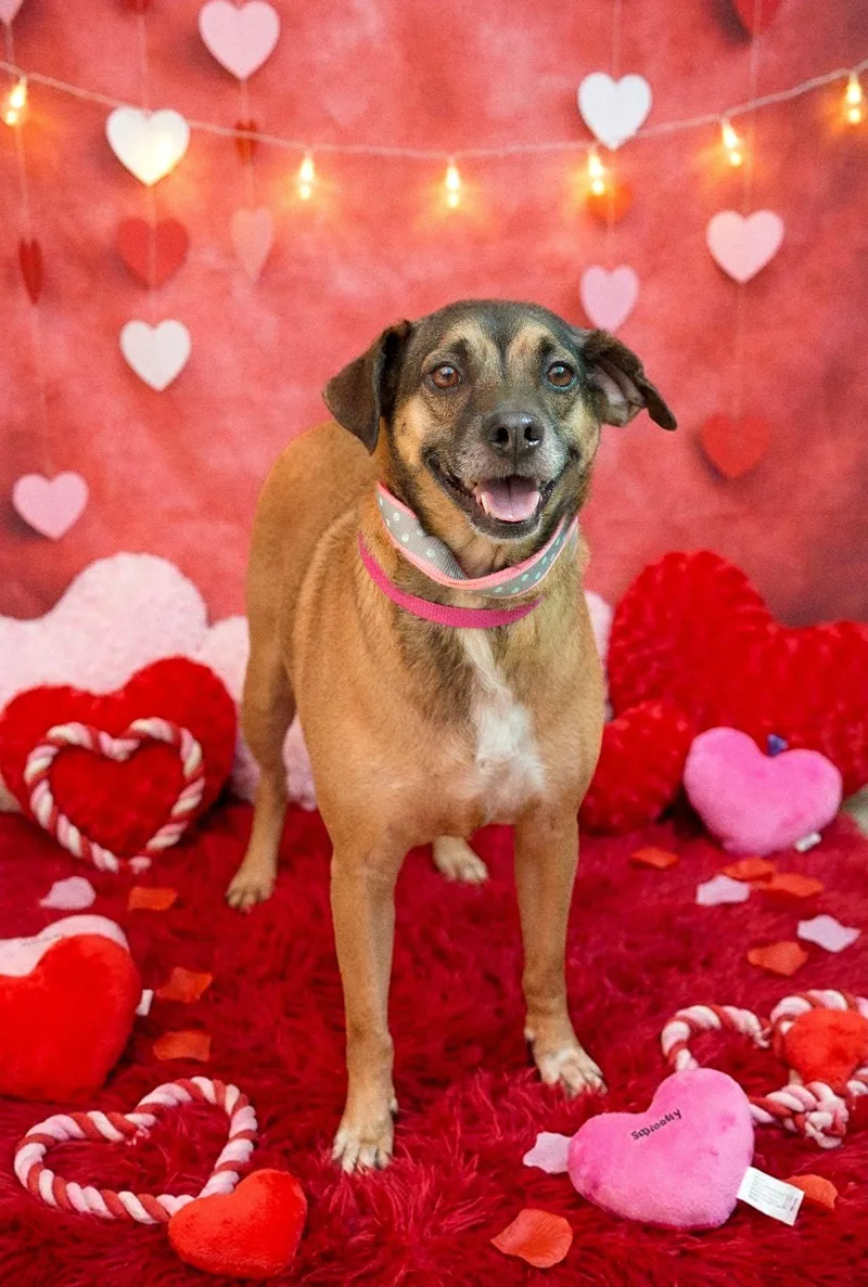 Sweet Salem thumbnail 3