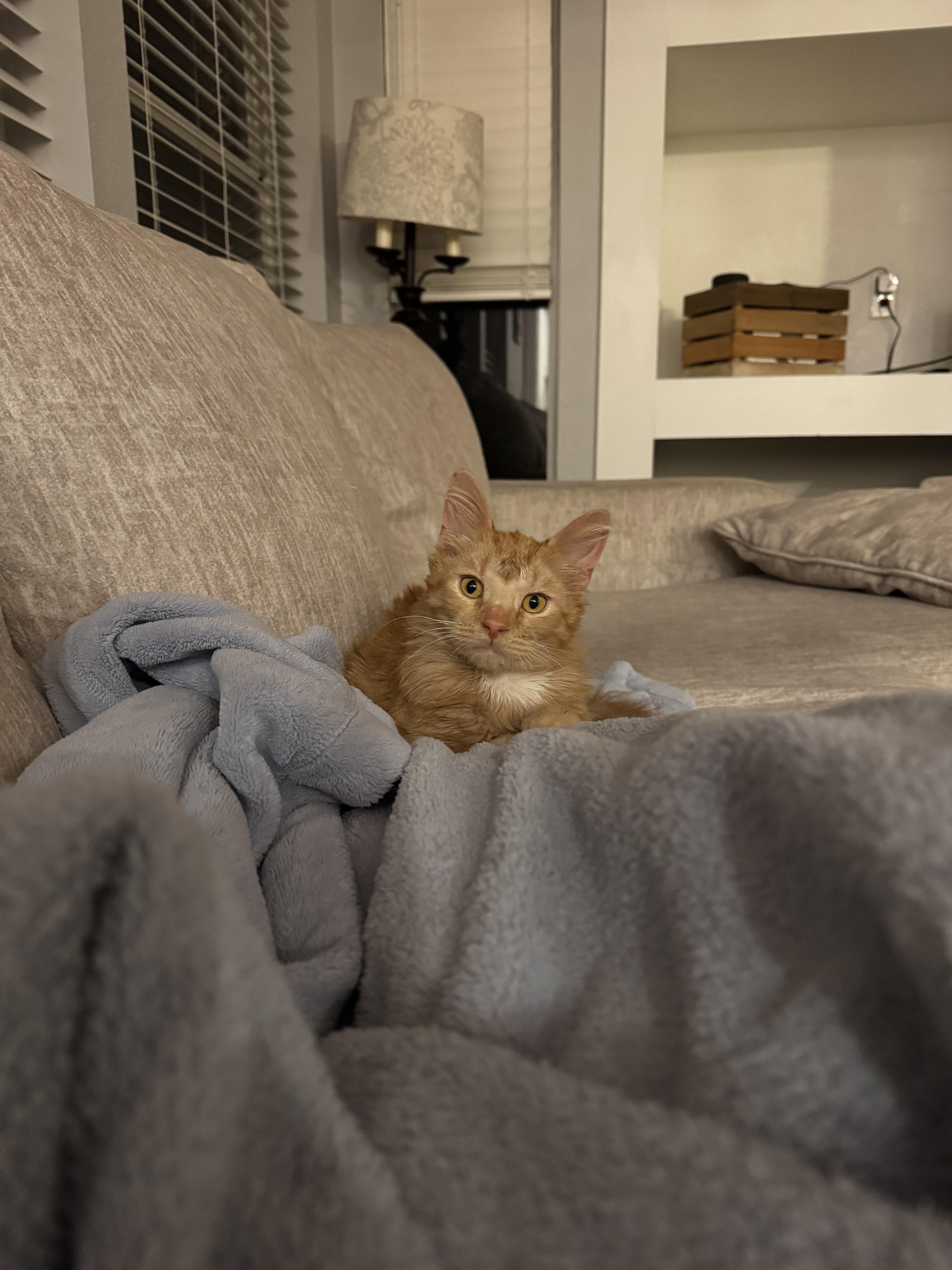 Bing Bong thumbnail 2