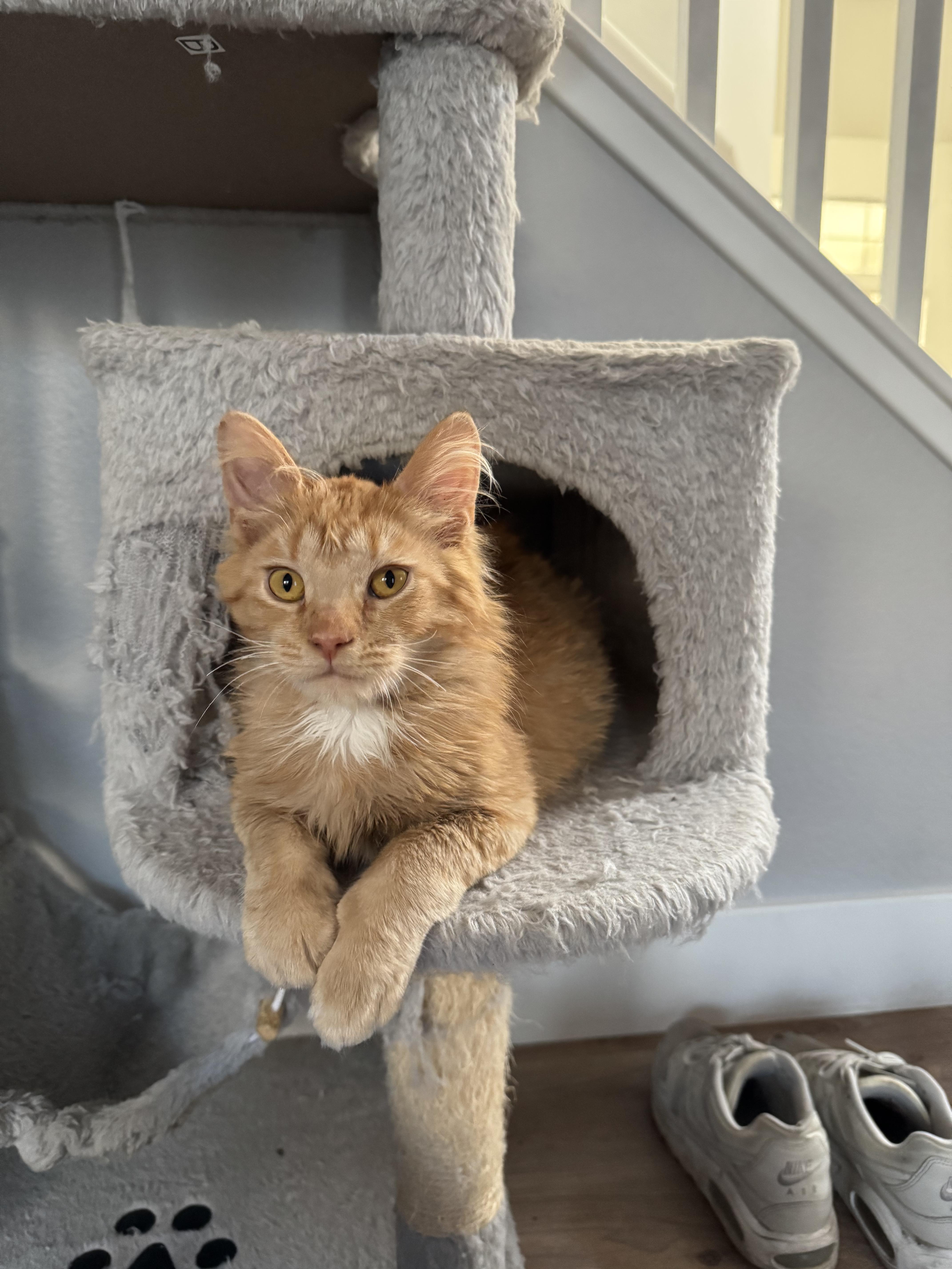 Bing Bong thumbnail 4