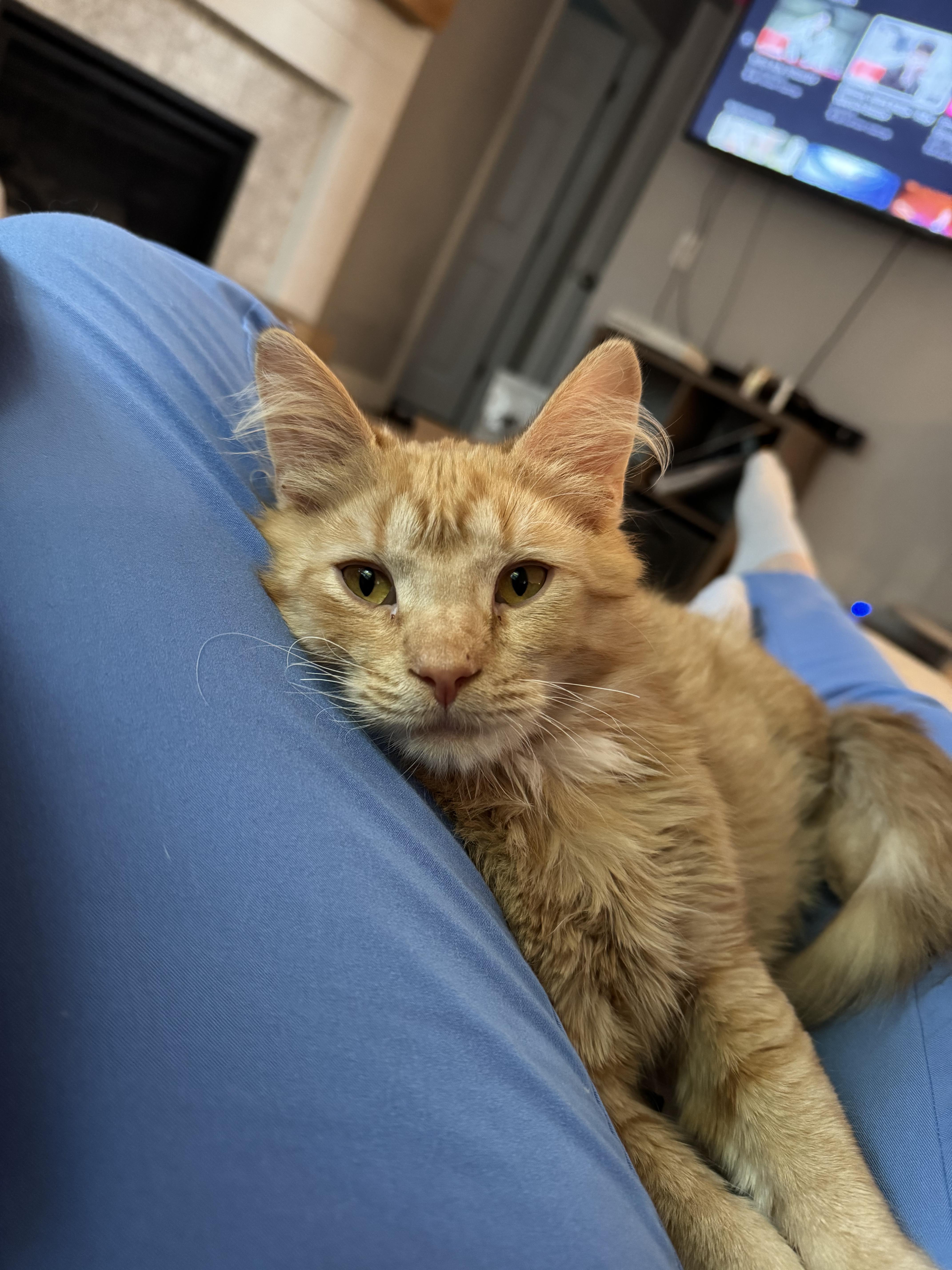 Bing Bong thumbnail 5