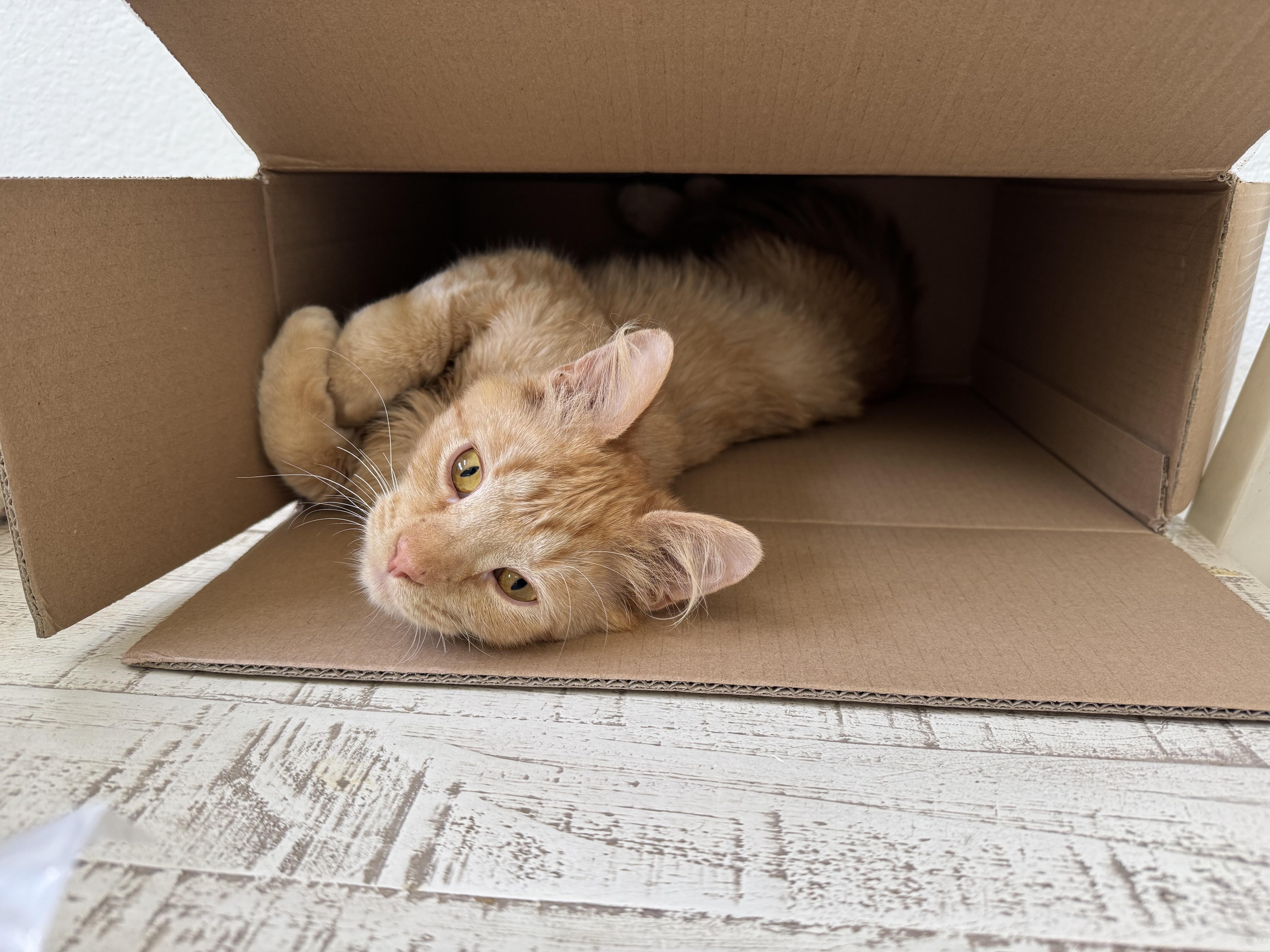 Bing Bong thumbnail 6