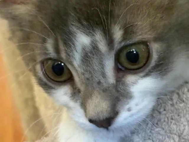 Ms. Whiteypants thumbnail 6