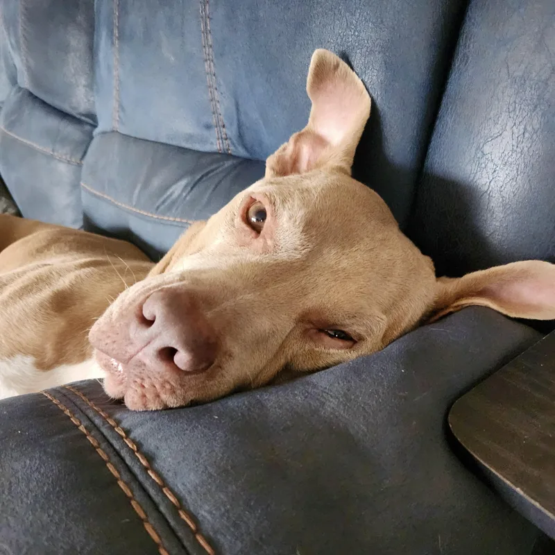 Finnthe Sweetest Soul Who thumbnail 3