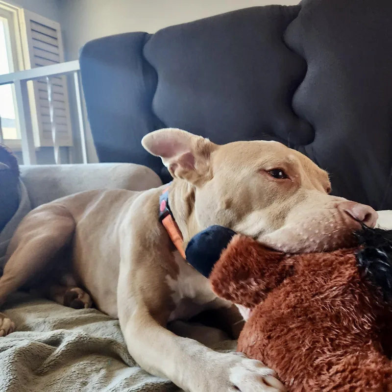 Finnthe Sweetest Soul Who thumbnail 5